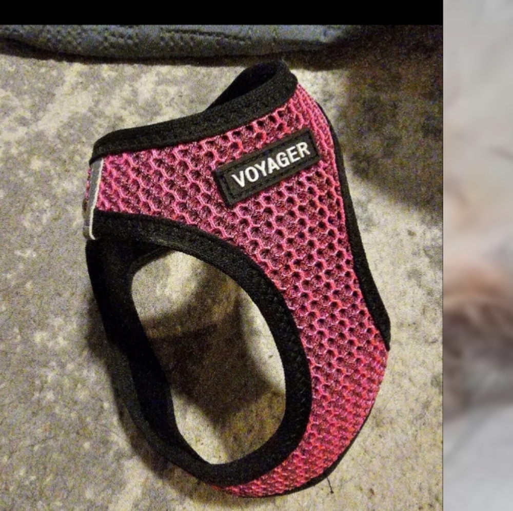 Voyager step-in all weather mesh, Vest Harnish. Used once. - Picture 3 of 5